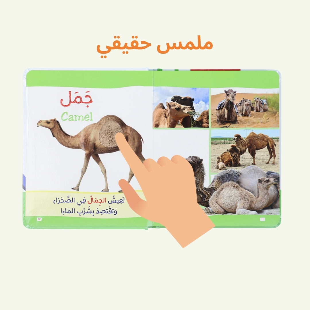 تعلم باللمس: كتاب مونتيسوري الأول للحروف والحيوانات والأرقام