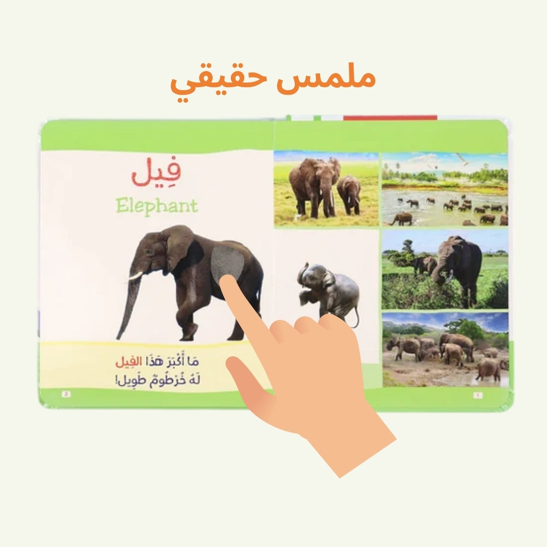 كتاب مونتيسوري الأول: الحيوانات باللمس